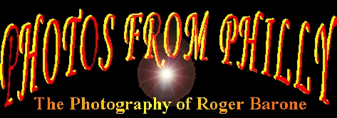 homepage link rogerbarone.com